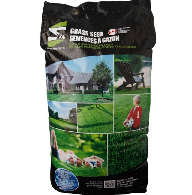 Grass Seed