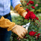 Garden Supplies