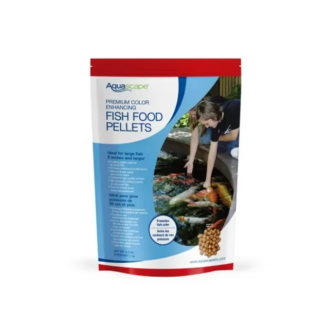 Koi & Pond Fish Care