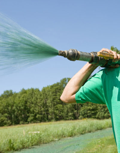 Hydroseed Mulch