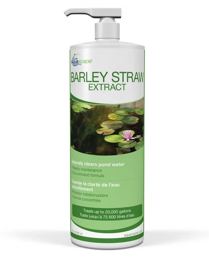 Barley Straw Extract