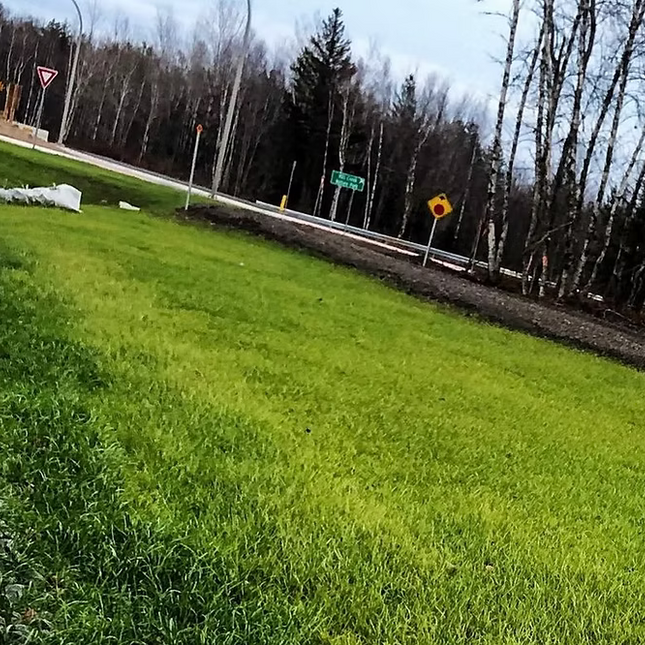 N.B Highway Grass Seed