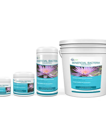 Beneficial Bacteria Concentrate
