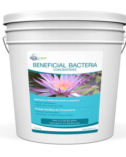 Beneficial Bacteria Concentrate
