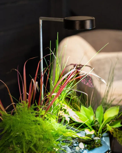 AquaGarden Plant Light