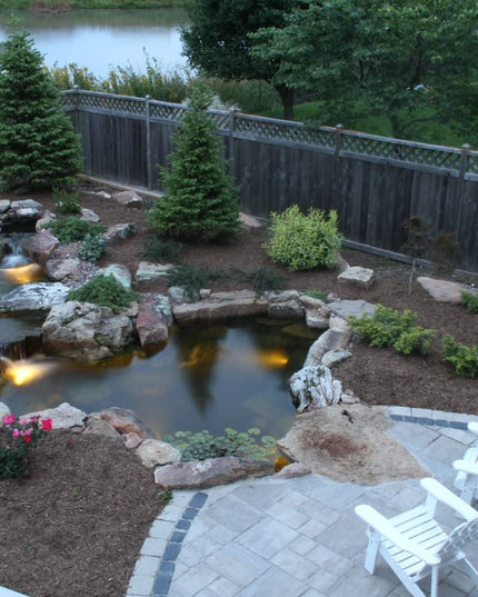 Pond Building Training