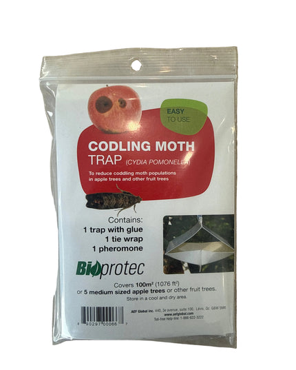 Codling Moth Trap