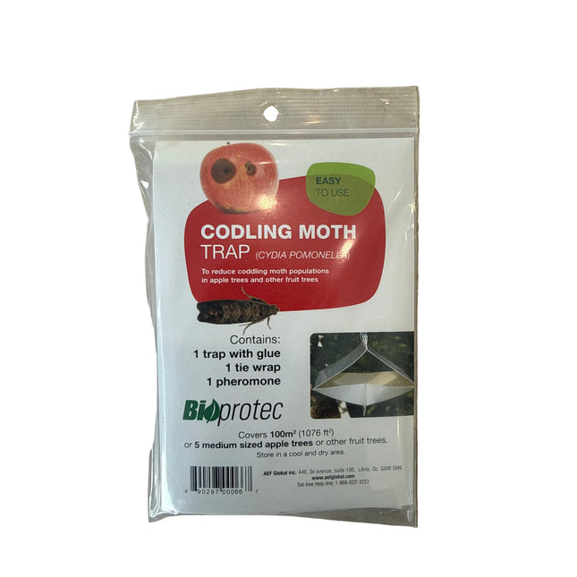 Codling Moth Trap
