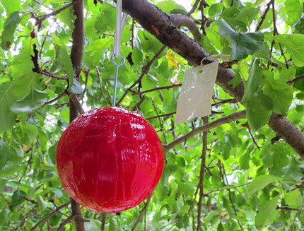 Red Sphere Bioprotec Pom