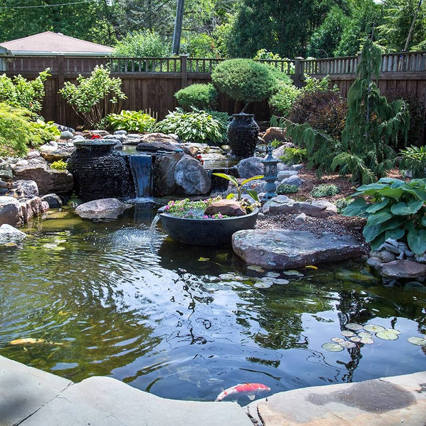 <h2>Water Treatments</h2>