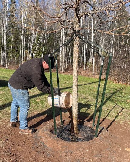 Tree Planting Training