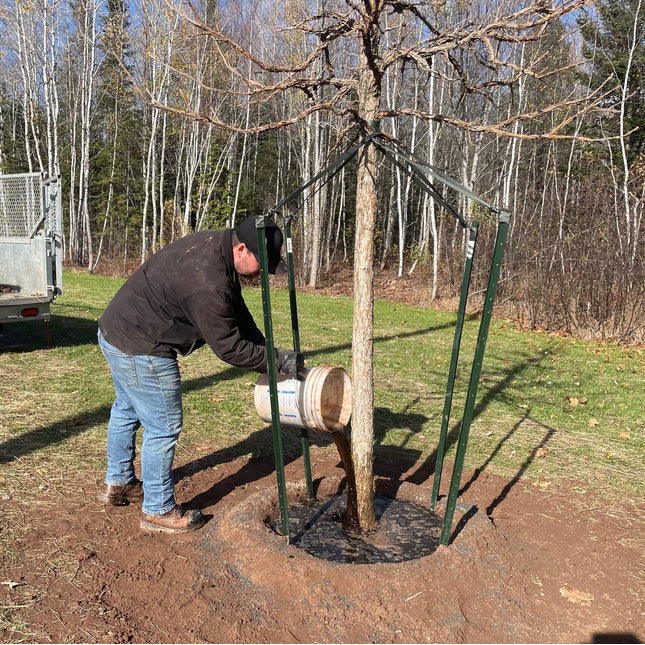 Tree Planting Training