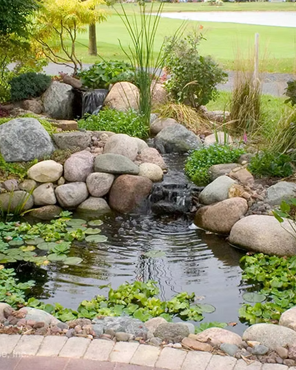 Small Pond Kit 8×11