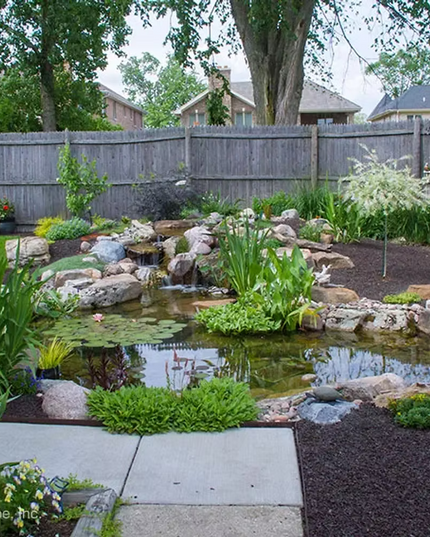 Medium Pond Kit 11×16